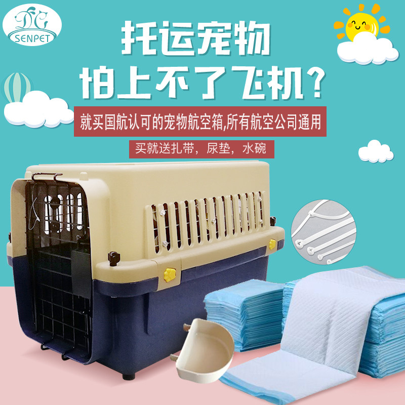 Air China special box pet air box dog cat general air box large dog transport box consignment box large