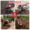 Multi-machine function small hand-held micro-tillage orchard farm pine vegetable soil weeding trenching QER rotary tillage machine pastoral management