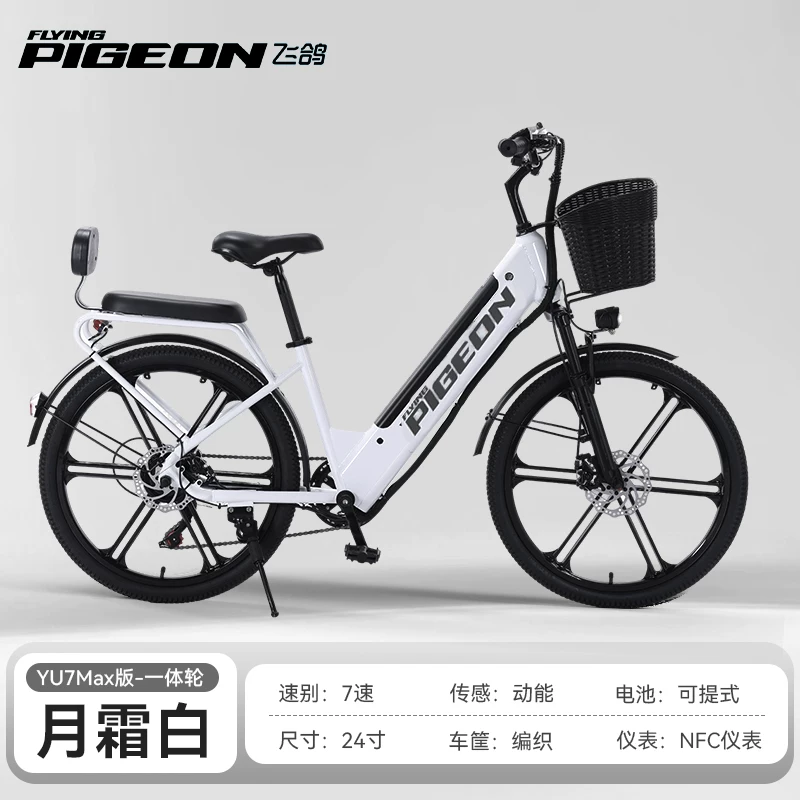 Electric bike