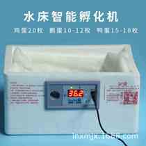 Ecobet bionic waterbed incubator household type 20 incubators small automatic temperature control egg incubator