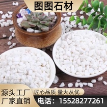 Hebei Landscaping Pebbles White Stones Large Pebbles Courtyard Paving Small White Stones