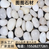Liaoning white stone natural large pebbles courtyard paving decoration fish tank landscaping dry landscape small pebbles