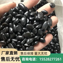 Hebei natural black pebbles small pebbles 50 pounds courtyard throwing rain flower stone garden decoration small stones