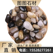 Guangxi colored cobblestone paving white Yuhua stone large rough stone natural colorful black courtyard paving cobblestone