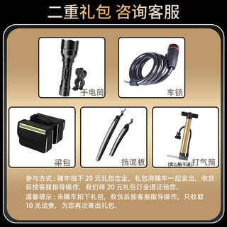 五件套礼包（梁包+打气筒+手电+车锁+挡泥板）