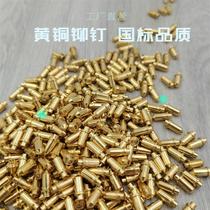 Computer pattern machine template positioning copper nails computer car clothing template supplies hanging nails shoe upper sewing positioning nails