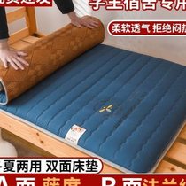 Winter and summer dual-purpose mat mattress home mattress double-sided thickened student dormitory single bed childrens complete set of furniture
