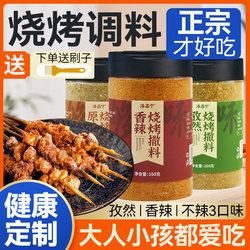 Authentic Zibo Barbecue Seasoning Set with Cumin Powder for Home Use, Barbecue Dipping Sauce, Outdoor Barbecue Seasoning