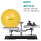 Theratools Rehabilitation Training Yoga Ball, Special Pelvic Floor Muscle Training Ball for Adults, Barre Ball, Explosion-Proof Fitness Ball