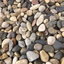 Natural cobblestone transformer cobblestone variegated cobblestone high hardness large cobblestone backfill cobblestone mixed batch