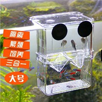 Guppy hatching box double-layer self-floating incubator juvenile fish breeding acrylic isolation box fighting fish box large