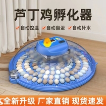 Parrot egg incubator rutin chicken egg incubator household fully automatic intelligent incubator mini small incubator