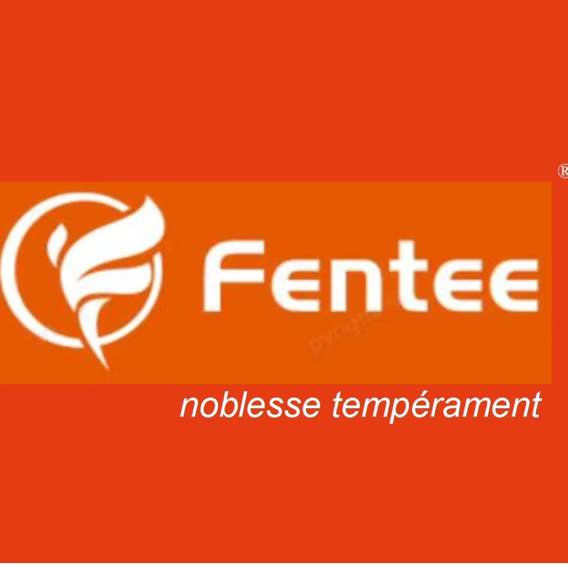 Fentee noblesse的LOGO