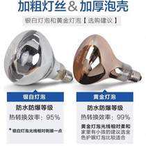 Three-in-one light heater multi-function bathroom heater embedded bathroom light bulb Leishizhi integrated ceiling ultra-thin