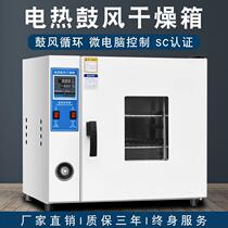 Electric constant temperature blast drying oven laboratory small oven food dryer industrial high temperature oven drying manufacturer