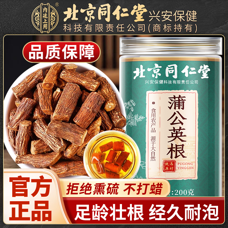 Dandelion Root Tea for Imperial Use in Beijing Tong Ren Tang, Dandelion Root as a Traditional Chinese Medicinal Herb, Roasted and Dried Dandelion Root