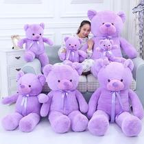 New fat version of purple bear doll Teddy bear plush doll doll Christmas and Valentines Day gifts