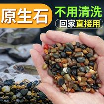 Natural native stream stone small stones fish tank landscaping flower pot decoration colorful goose soft stone paving pebbles