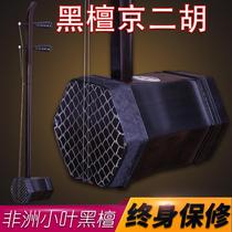 Black Tan Jing Erhu Xipi Erhuang Jing Erhu Peking Opera Accompaniment Professional Performance Free Full Set of Accessories