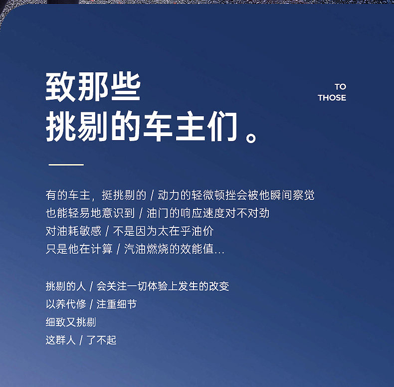 Car Fuel Additive for Gasoline: Carbon Deposit Remover, Engine Maintenance, Fuel Saver, Carbon Cleaning Agent