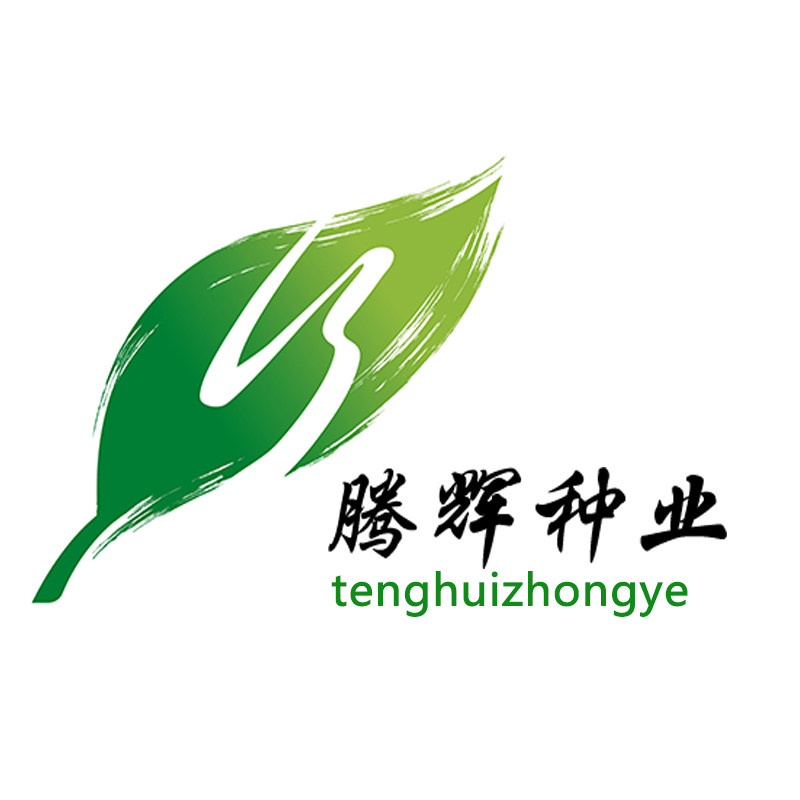 腾辉种业的LOGO