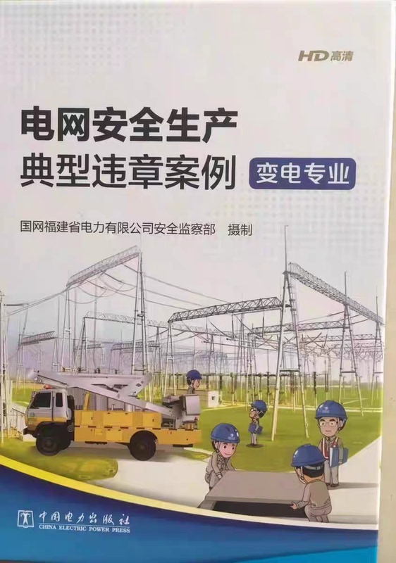 Typical Cases of Safety Violations in the Power Grid Electric Power Substation Profession