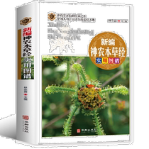 Full-color illustrations newly compiled practical atlas of Shennong’s Materia Medica color illustrated collection of traditional Chinese medicine and modern health care