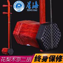 Beijing 87022X Rosewood Beijing Erhu National Instrument Learning to Play Erhu Free Accessories