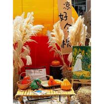 Camping atmosphere layout haystacks colorful haystacks round hay mounds straw sofa benches farm natural straw decoration