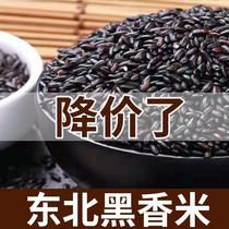 Northeastern black rice long-grain porridge special price black glutinous rice farm high-quality black rice grains rice rice new black rice