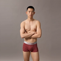 W0V-кирпично-красный