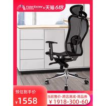Hongqiao Chairperson ergonomic chair study computer chair home comfortable back chair lunch break chair office chair gaming chair