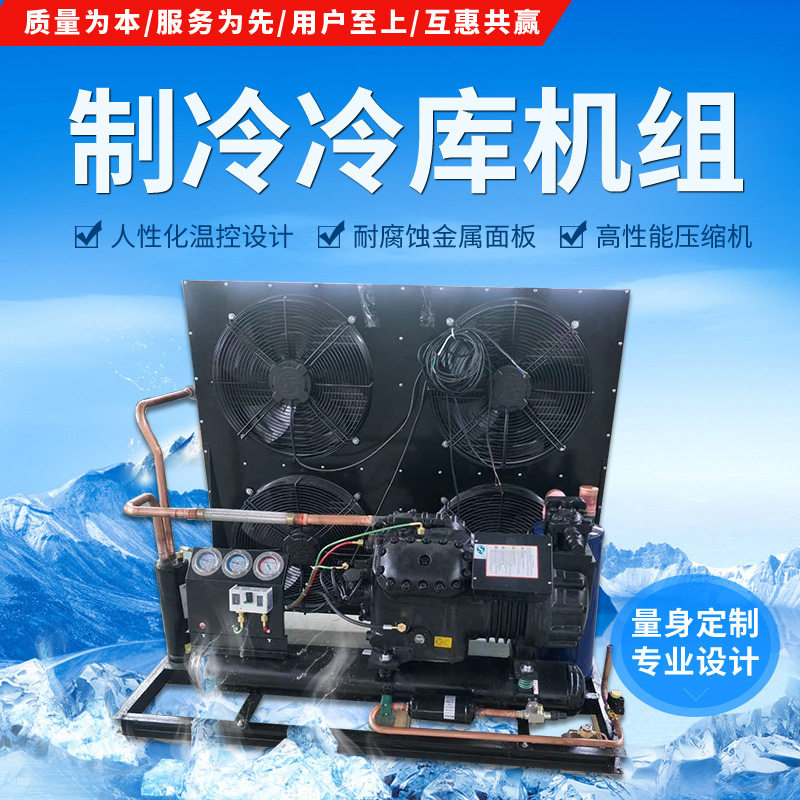 原装大明制冷比型半封闭制冷机组活塞压缩机风冷2YD-2.2小二缸机(图5)