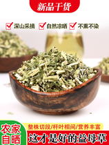 Wild motherwort fresh and dried conditioning aunts water to make tea Chinese herbal medicine pack menstrual foot soak 500g