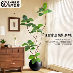 Artificial Green Plant Black King Kong Rubber Tree Interior Decoration Potted Classy Bionic Plant Floor Decorations Atmosphere Tree