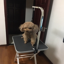 Pet grooming table dog grooming table household bathing hair drying shearing folding portable table boom bracket sling