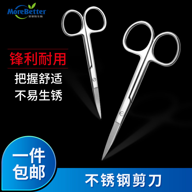 茉钡特生物 不锈钢剪刀 组培接种器械 接种专用剪刀直剪 弯剪齐全