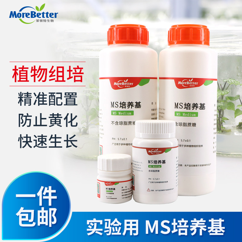 茉钡特生物 ms培养基植物组培细胞培养干粉养基b5 n6 WPM营养基质