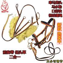 Leather water bridle riding colorful bow chest strap two-in-one chest strap fine equipment multi-functional horse reins