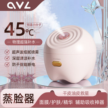 Hot Spray Facial Steamer Nano Sprayer for Home Use, Small Facial Beauty Device for Hydrating, Opening Pores, Detoxifying, and Steaming