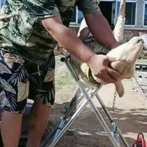 Sheep killing rack folding portable sheep killing rack size can kill professional sheep killing rack high-end sheep killing rack