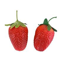 Orff childrens percussion instrument simulation fruit sand hammer fruit egg sand bell sand hammer sand egg sand ball teaching aids