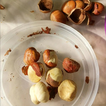 (Extra large opening) New opening large hazelnut thin skin original flavor fried nuts snacks specialty wholesale bag