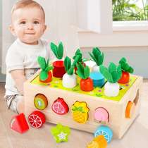 Wooden radish coin-operated childrens cognitive fruit shape matching building blocks baby early education educational intelligence development toys