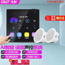 SAST Intelligent Voice Control Ceiling Audio Ceiling Speaker Set 3D Surround Ceiling Embedded Home
