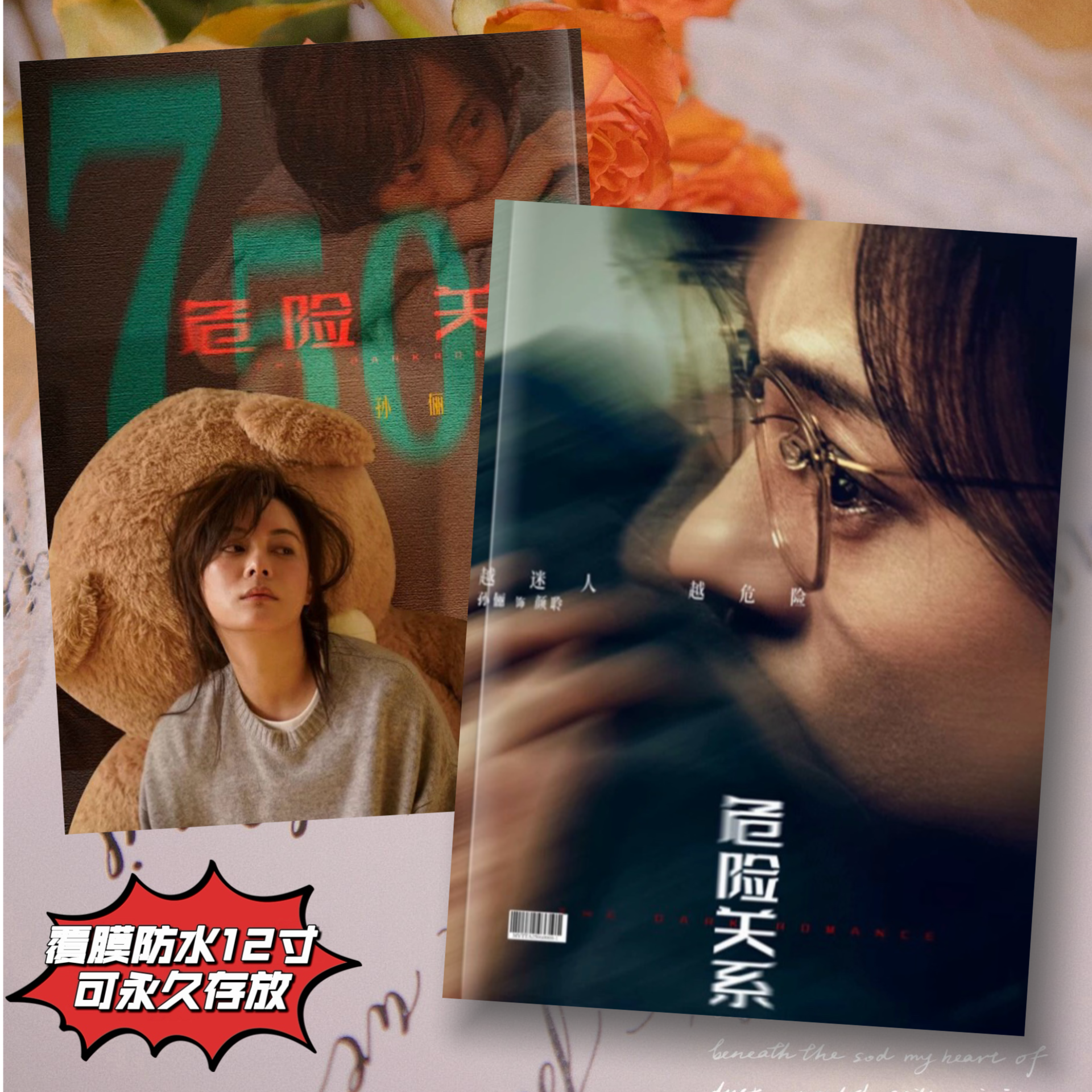 危険な関係 スン・リー写真集 記念ブック - 友人への贈り物 - ファンサポート