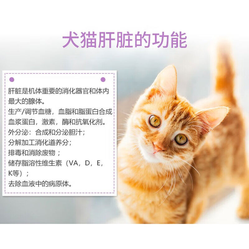 丹诺仕Denosyl护肝士90mg:宠物保肝新选择,守护毛孩子健康!-猫特色药品-淘宝百科网