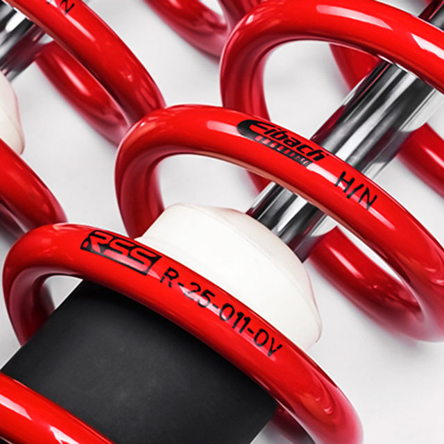 Rss Twisted Tooth Shock Absorber Is Suitable for Model 3/Y 5 Series 3 Series Magotan Cc Extreme Gti Car Modification and Avoidance Manufacturer