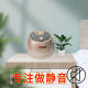 Shengfanlong Plumbing and Electric Blanket Heater Circulation Pump Water Resistance Couple Home Bed Heating Artifact Intelligent Constant Temperature
