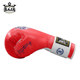 Raja Kidsren's Professional Boxing Gloves for Boys and Girls, Muay Thai Fighting, Sanda Fighting Training, Competition, Punching Bag Gloves